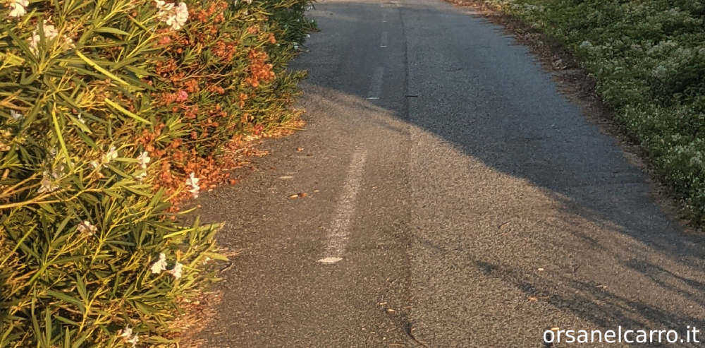 autostrada Salerno Reggio Calabria A2